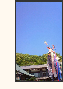 こいのぼり